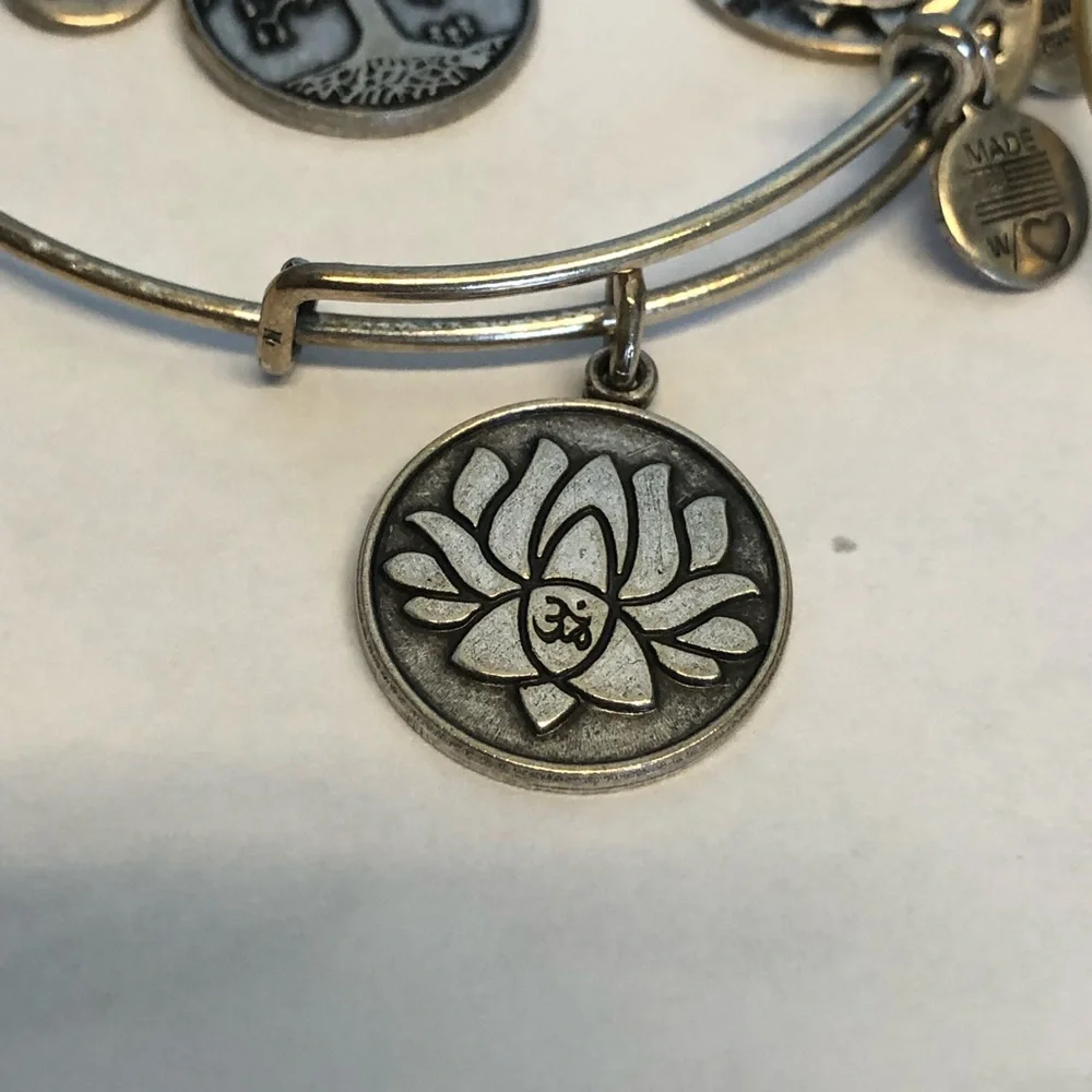Alex and Ani Gold and Silver Charm Bangle Set